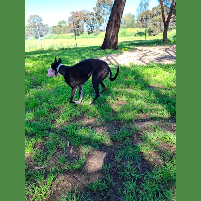 Photo of Tayla