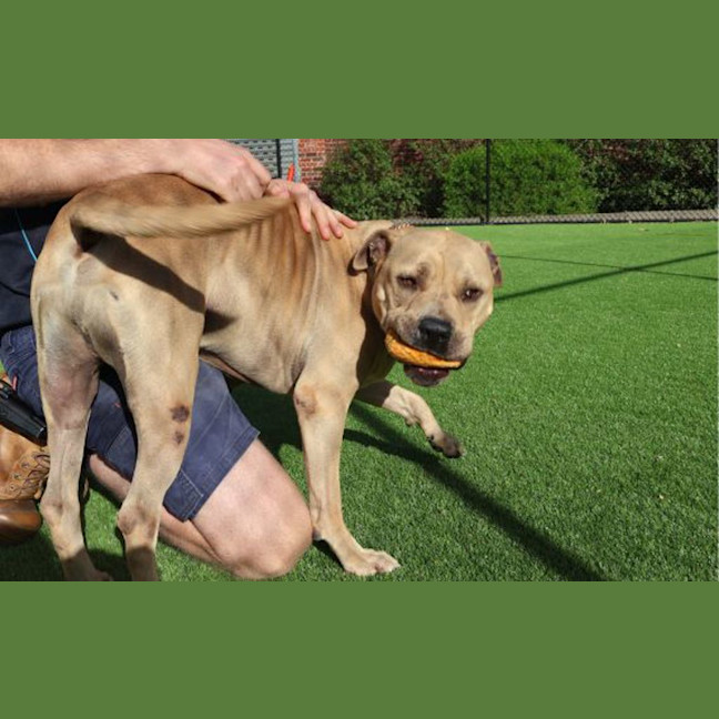 Photo of Zeus
