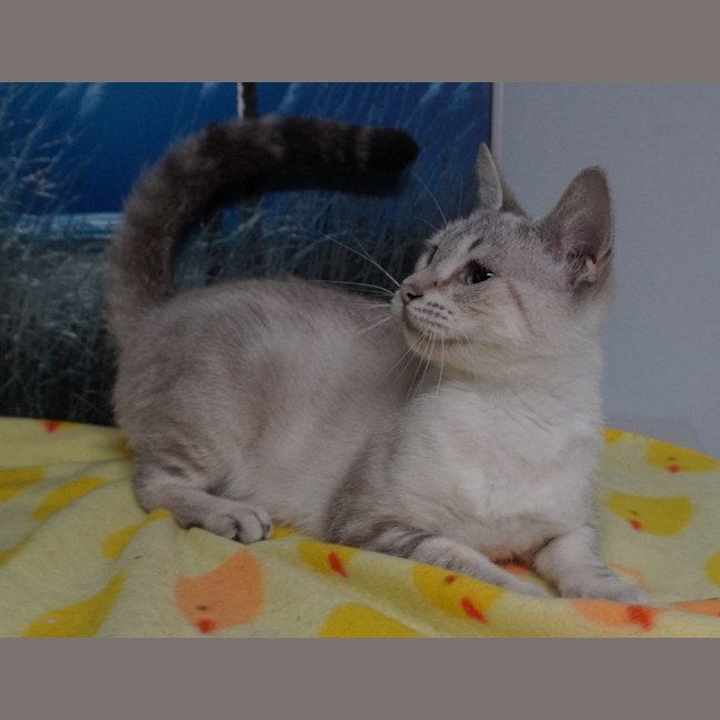 Photo of Giselle