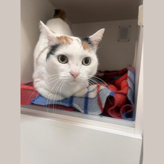 Photo of Puddy