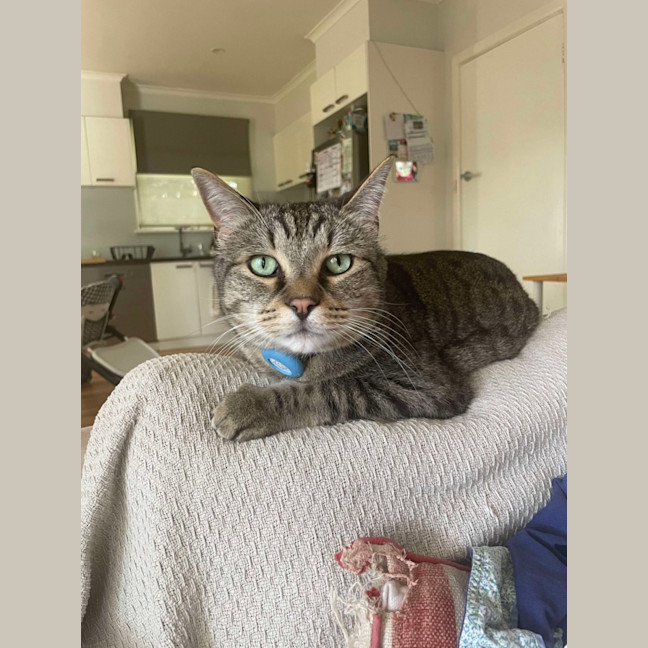 Photo of Boris