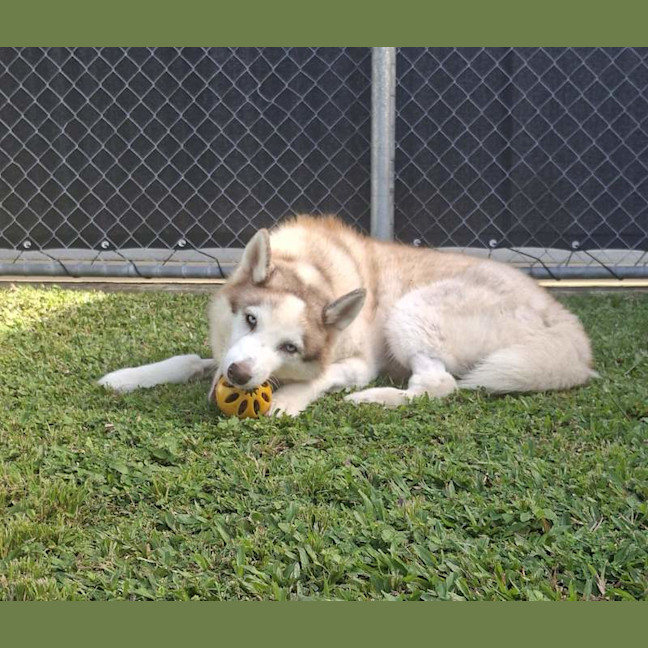 Photo of Zena