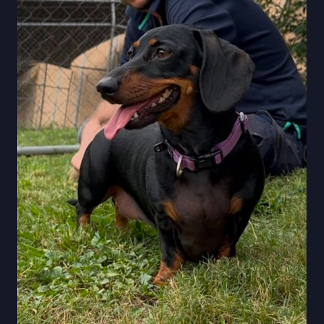 Photo of Lilly