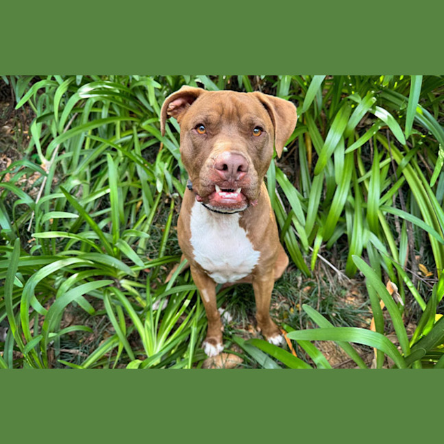 Photo of Turbo