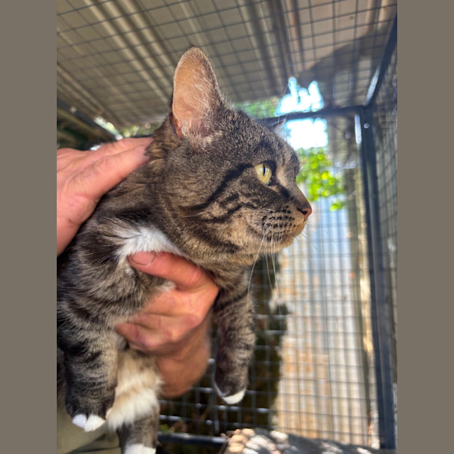 Photo of Boots (And Missy)