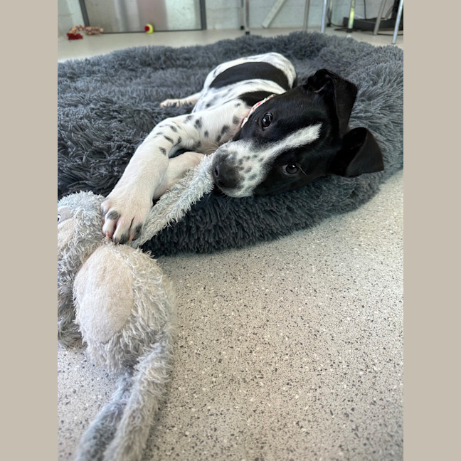 Photo of Tex