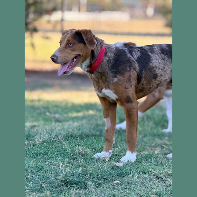 Photo of Ember