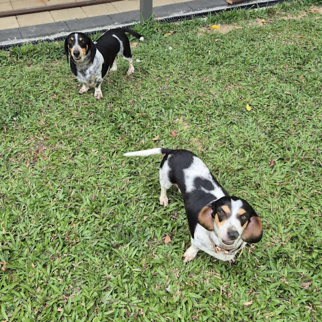 Photo of Bazz And Pitty