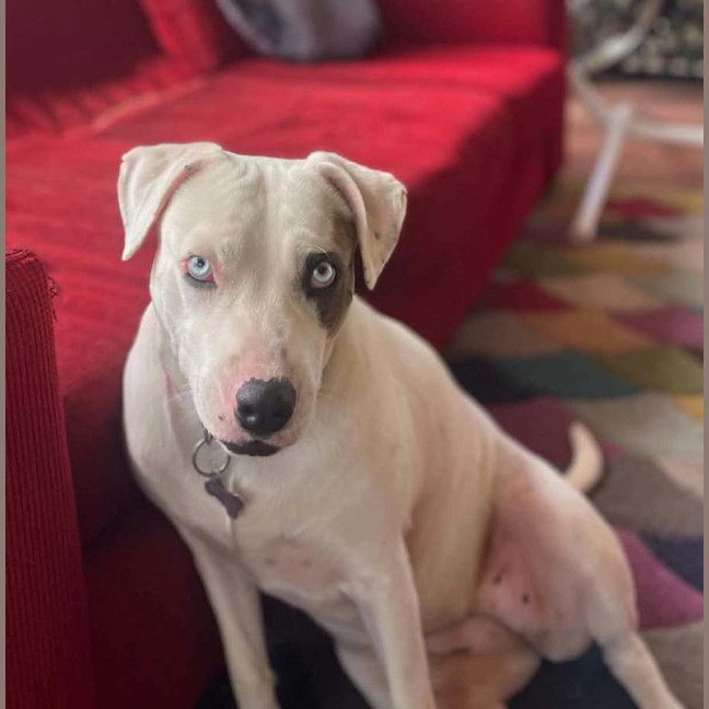 Photo of Jazz