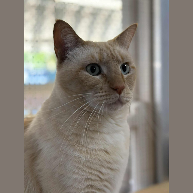 Photo of Jessie James