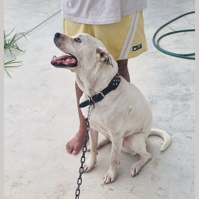 Photo of Zeus 