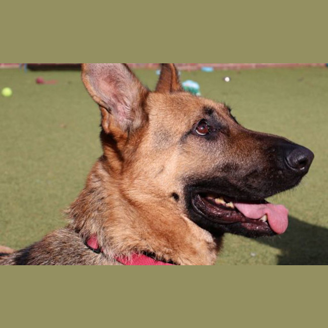 Photo of Agatha
