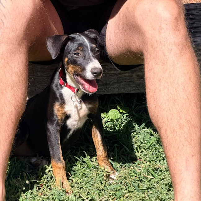 Photo of Nellie