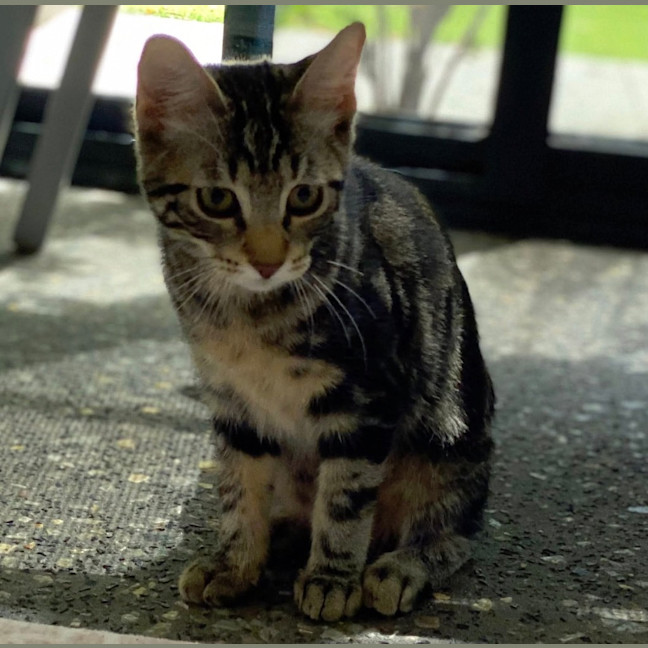 Photo of Pj
