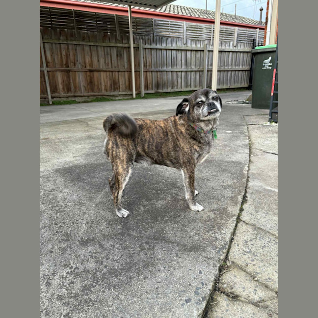 Photo of Covah And Teddy