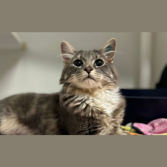Photo of Hiro