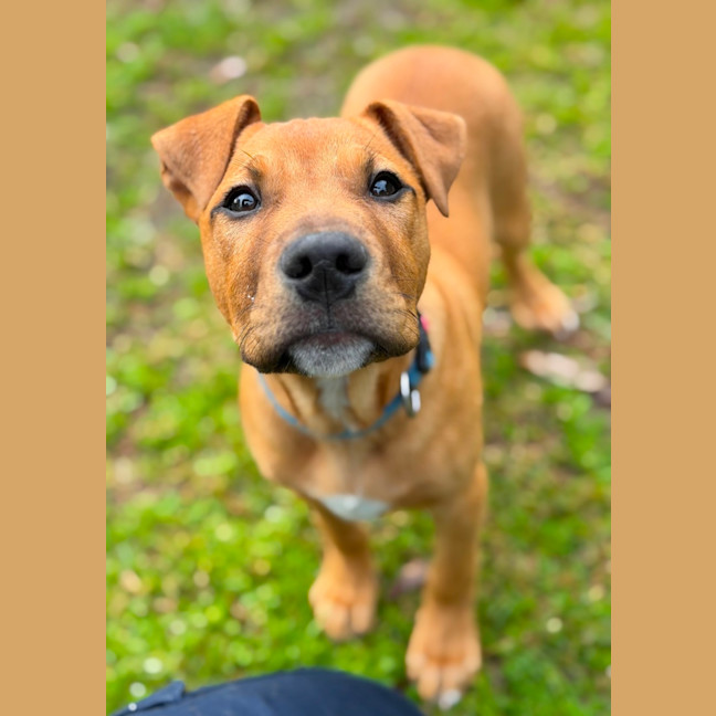 Photo of Charlie