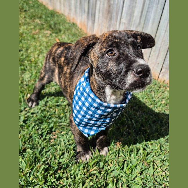 Photo of Churro