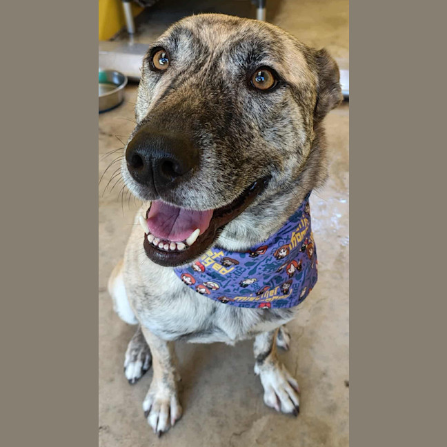 Photo of Luna