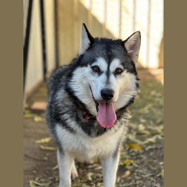 Photo of Delilah