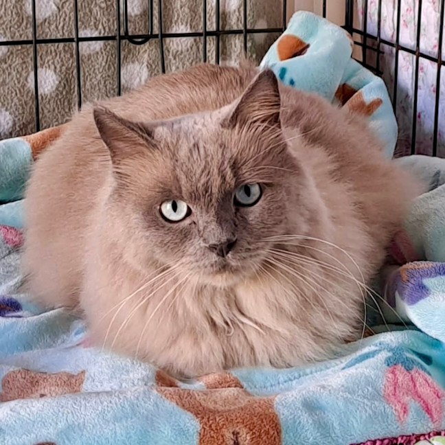 Photo of Charlie