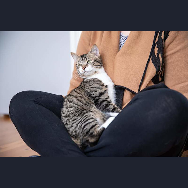 Photo of Maisie