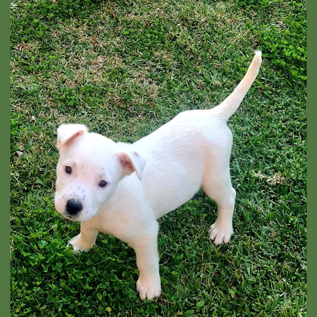 Photo of Finn