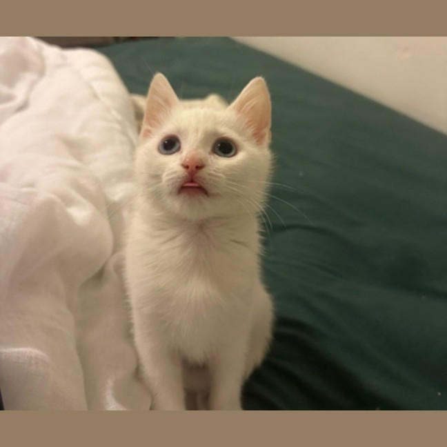 Photo of Mina