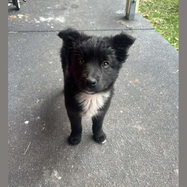 Photo of Storm
