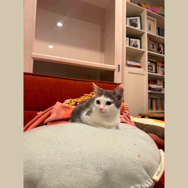 Photo of Bix 
