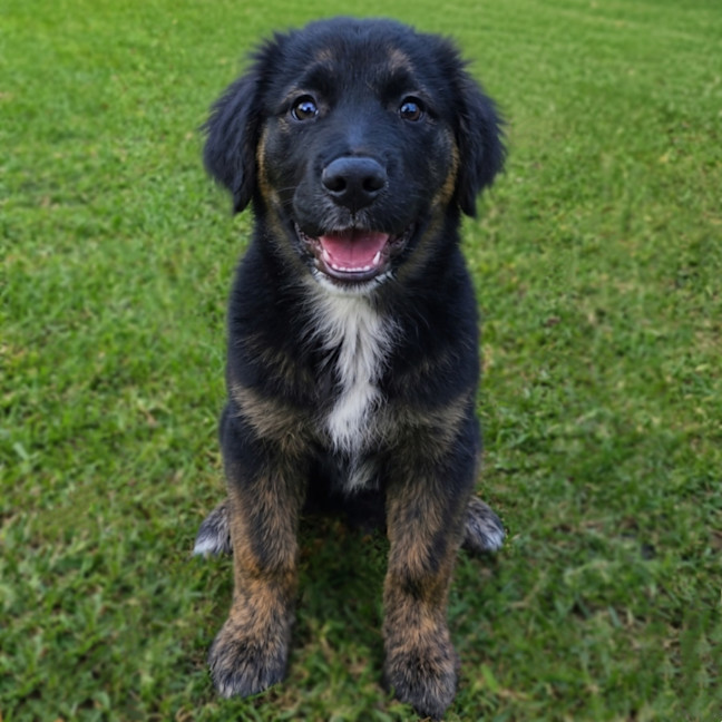 Photo of Maze