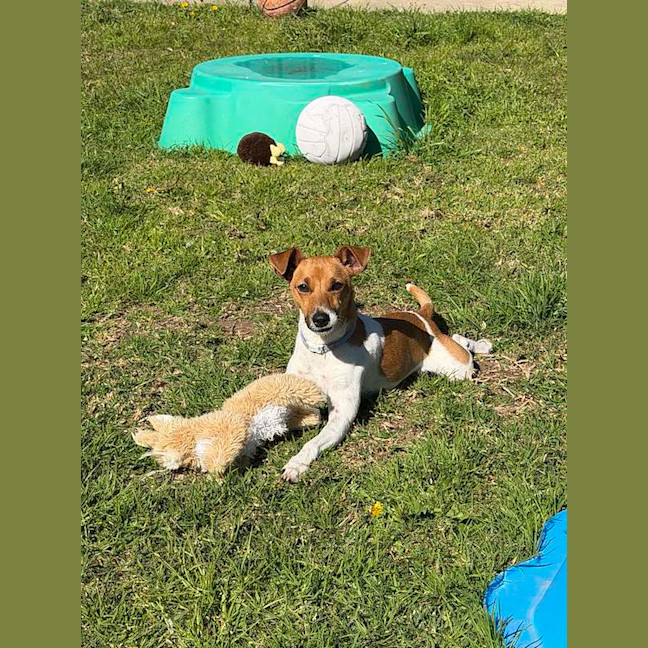 Photo of Chevy