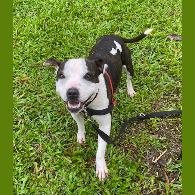 Photo of Fifi