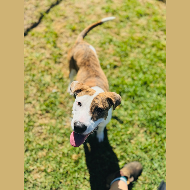 Photo of Addie