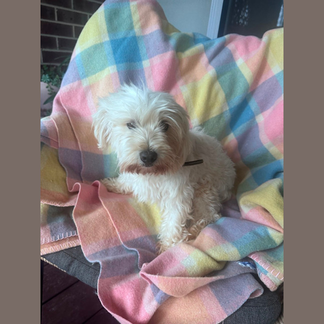 Photo of Holly