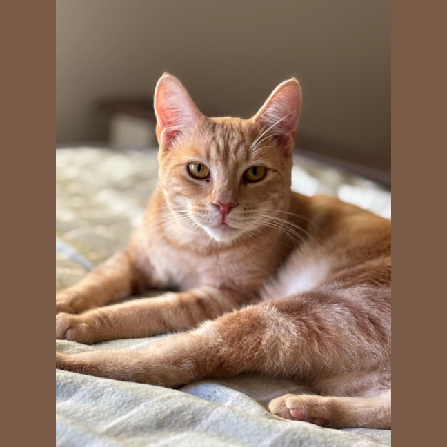 Photo of George 