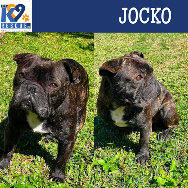 Photo of Jocko