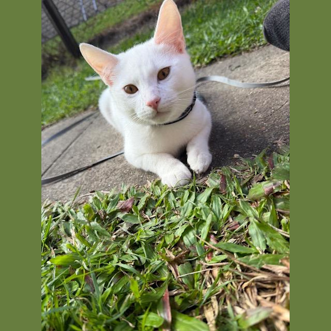 Photo of Charlie