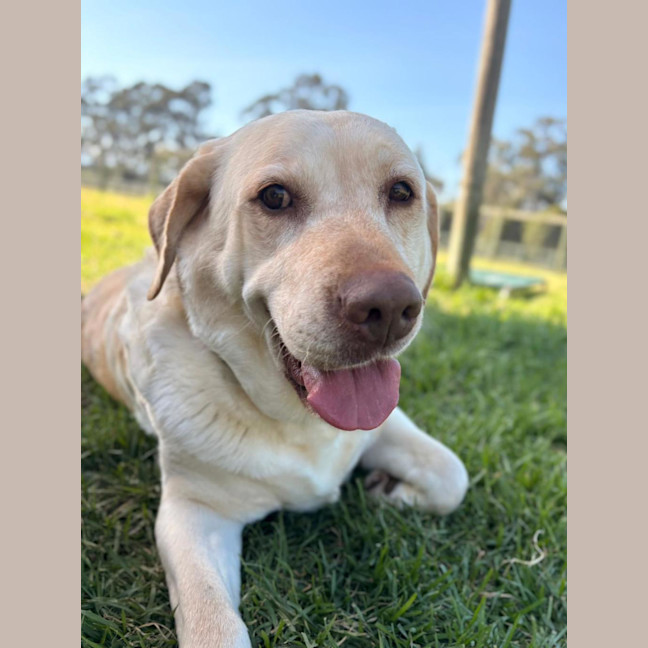 Photo of Lexi