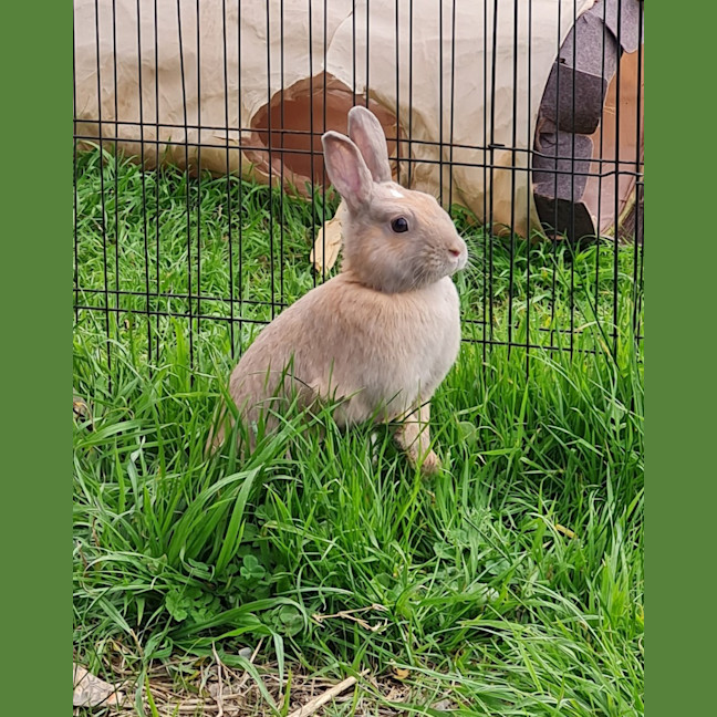 Photo of Spice Unity