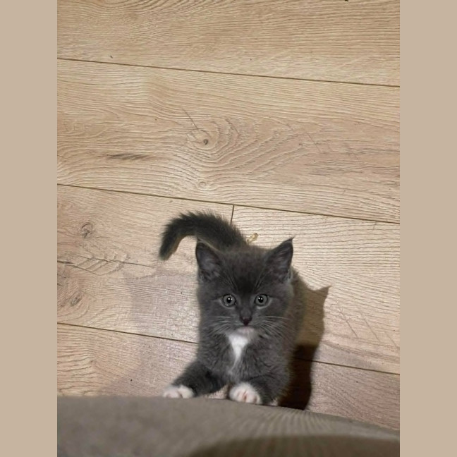 Photo of Stormi