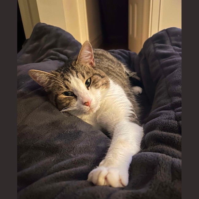 Photo of Lord Remington