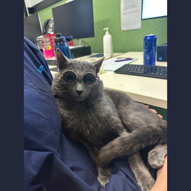 Photo of Sirius