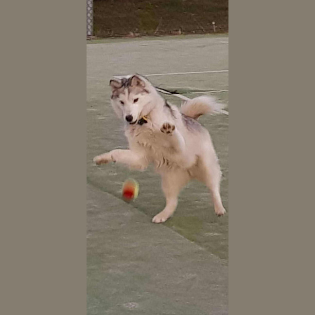 Photo of Ghost & Mirri