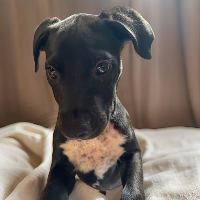 Photo of Freya