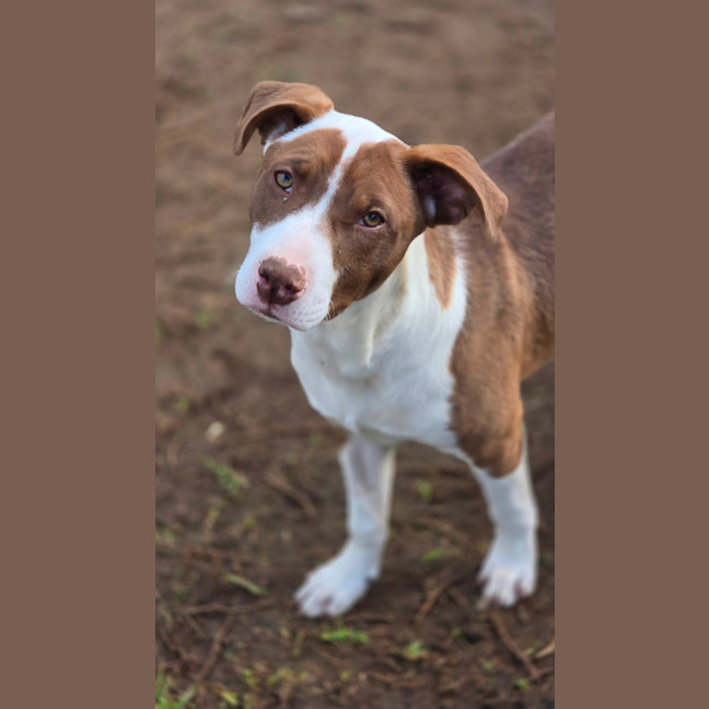 Photo of Twist