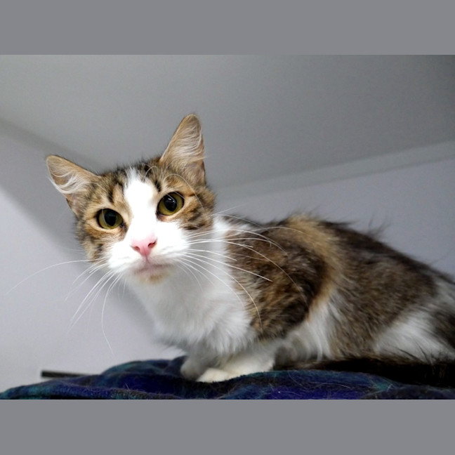 Photo of Valerie Sta014572