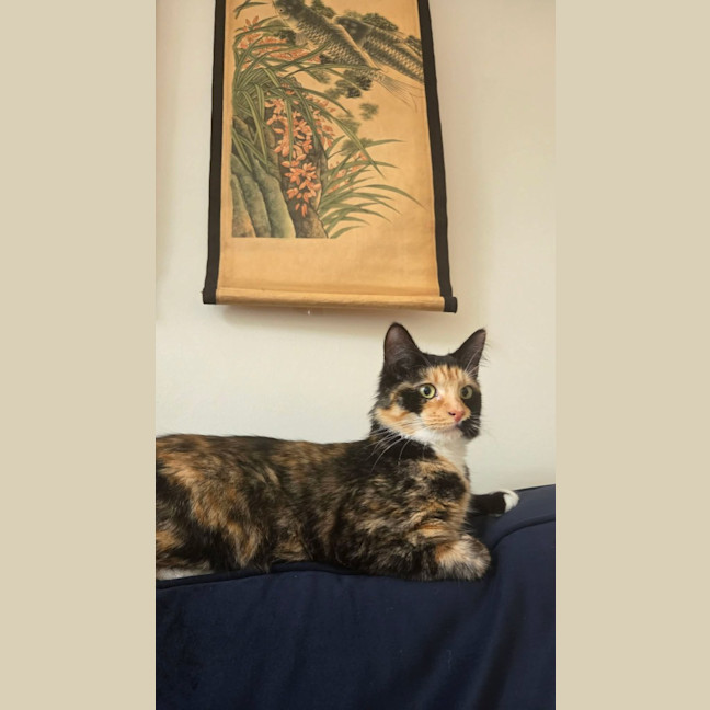 Photo of Cali