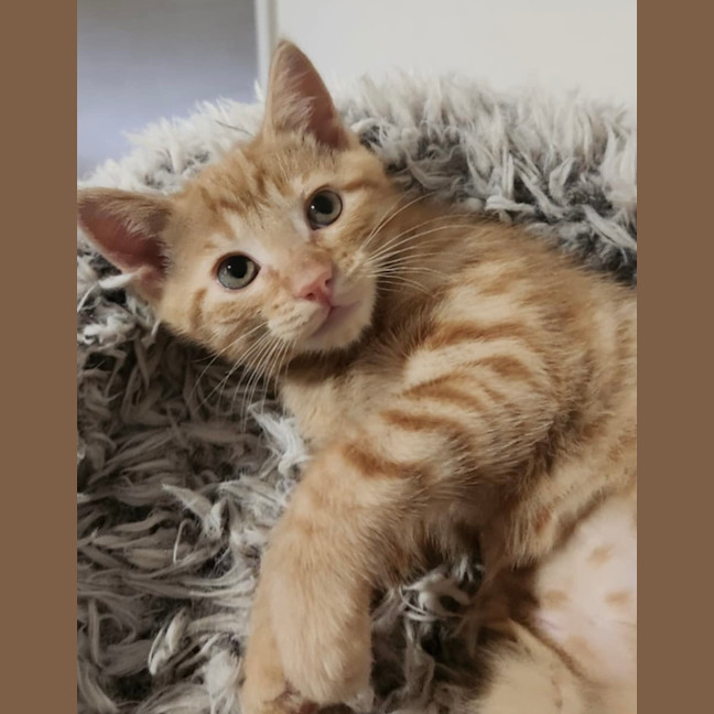 Photo of Miss Garfield 