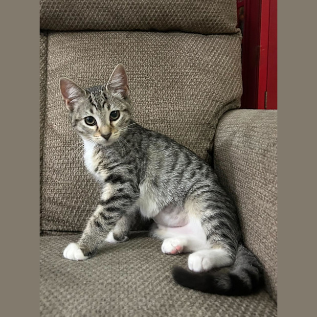 Photo of Cindy